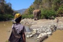 ミャンマーの自然・動物への愛　写真随筆家・大西信吾さん