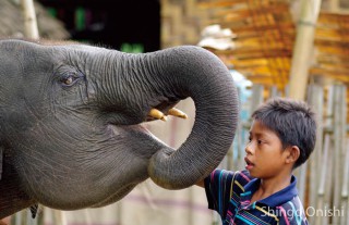「ミャンマーに息づく人と動物の不思議な共生」講演会&写真展